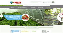 Desktop Screenshot of carrerirrigacao.com.br
